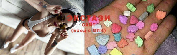 шишки Аркадак