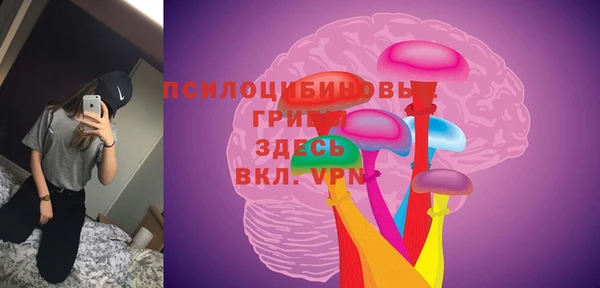 шишки Аркадак