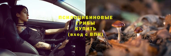 шишки Аркадак