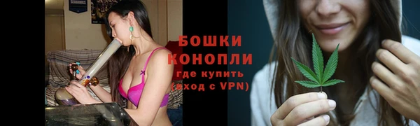 прущий лед Арсеньев